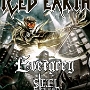 Iced Earth - am 19.12.2012 im Matrix Bochum<br />Vorgruppen: Steel Engraved und Evergrey. Dead Shape Figure habe ich verpasst.<br />Nette Veranstaltung - aber irgendwie sprang bei mir der Fúnke nicht ins Hirn....